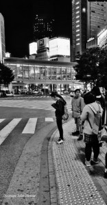 DSC08275-コピー-260x500