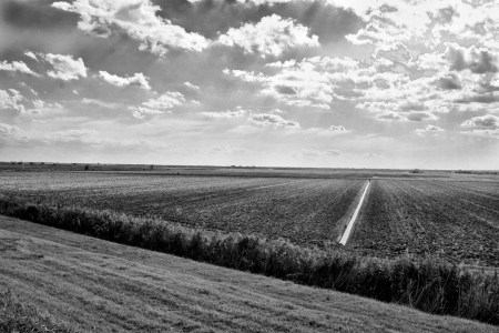 Campagna Lorenzo Polvani