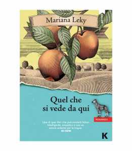 quel che si vede da qui